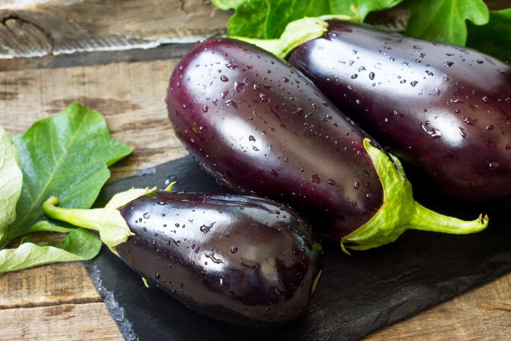 Aubergine