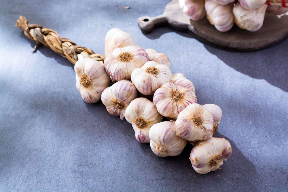 Knoblauch Zopf 1000g