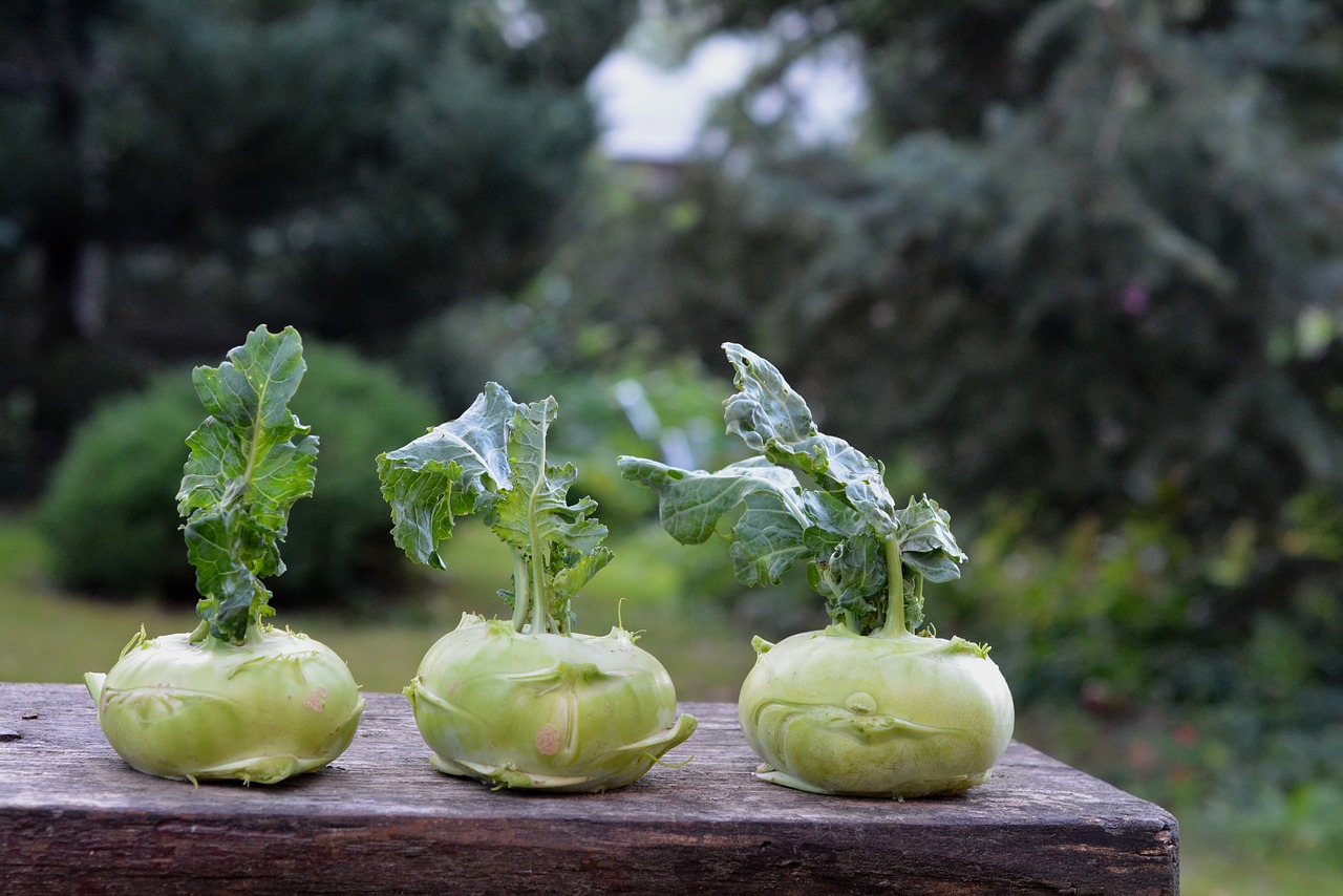 Kohlrabi-Streifen 2500g